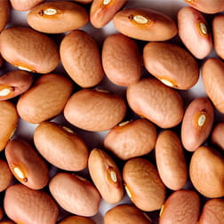 Beans - Pink